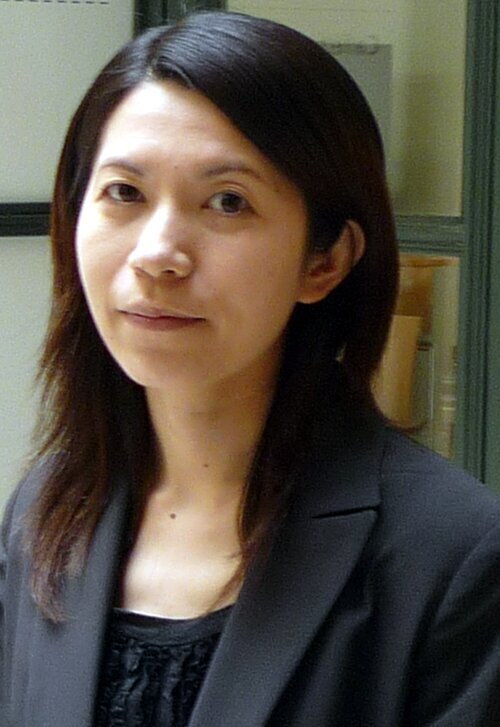 Naoko gunji center for the study of global gender equity illinois